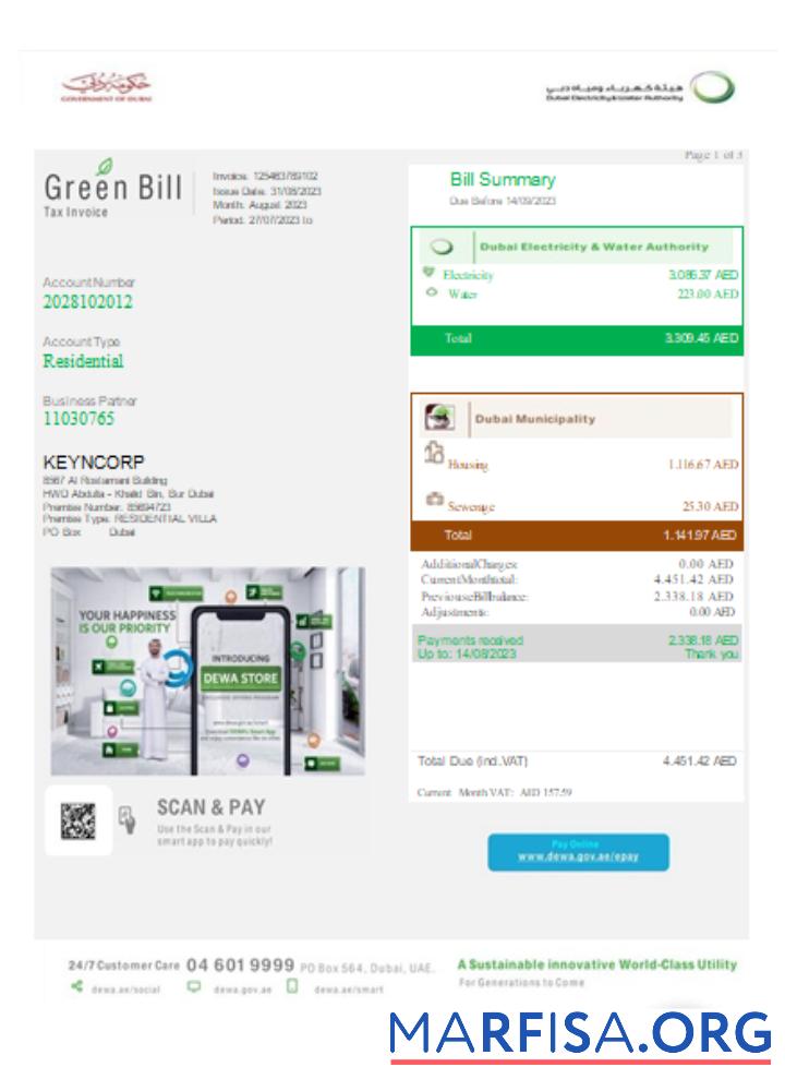 Blank Green utility business bill, SCR download for verification